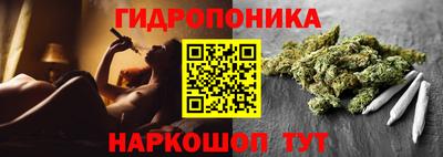 спиды Бердск