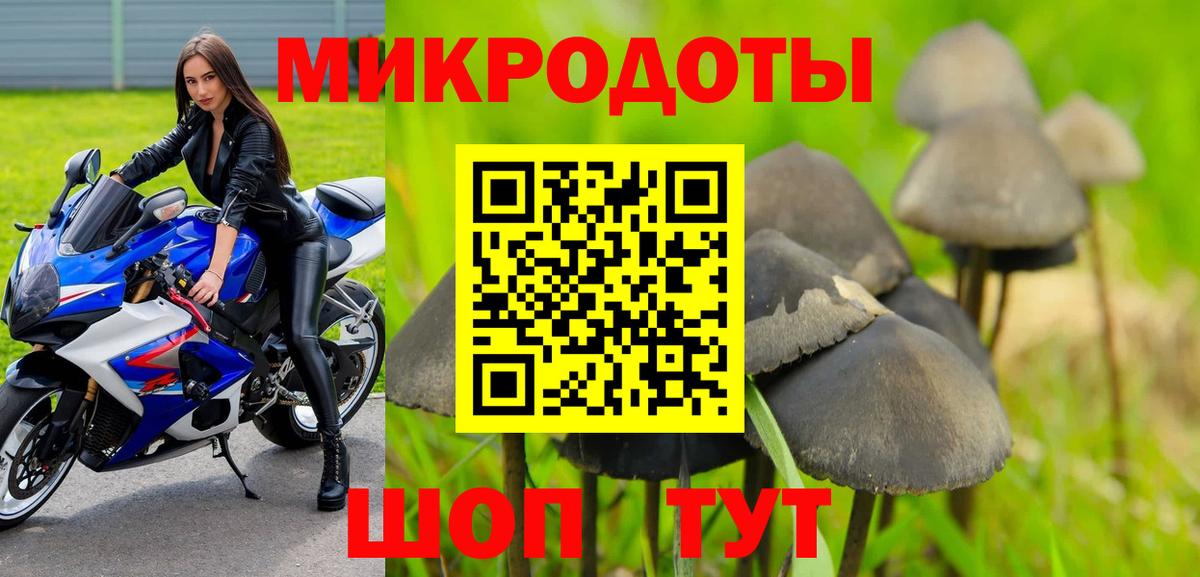 Псилоцибиновые грибы прущие грибы Гатчина