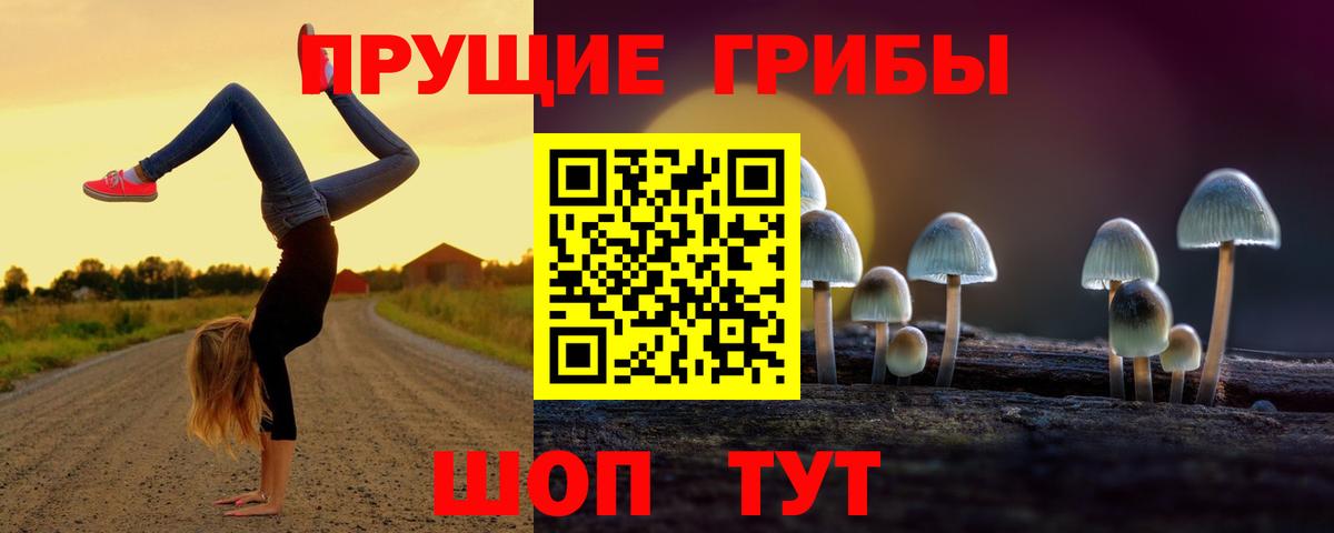Псилоцибиновые грибы Psilocybine cubensis  Вход с VPN  цены   Гатчина  Галлюциногенные грибы GOLDEN TEACHER 