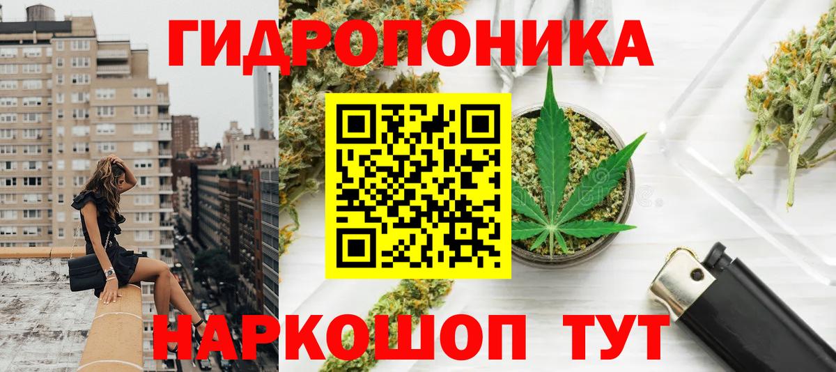Конопля гибрид Гатчина